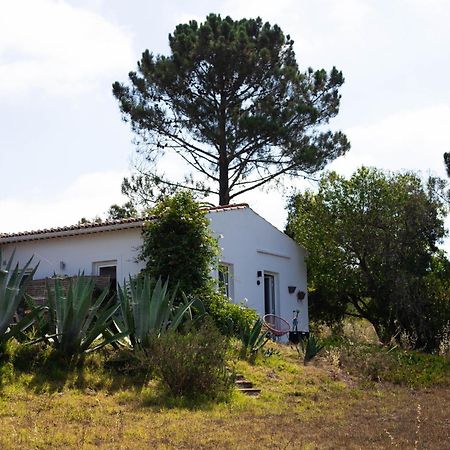 Monte Da Urze Aljezur - Agroturismo Экстерьер фото