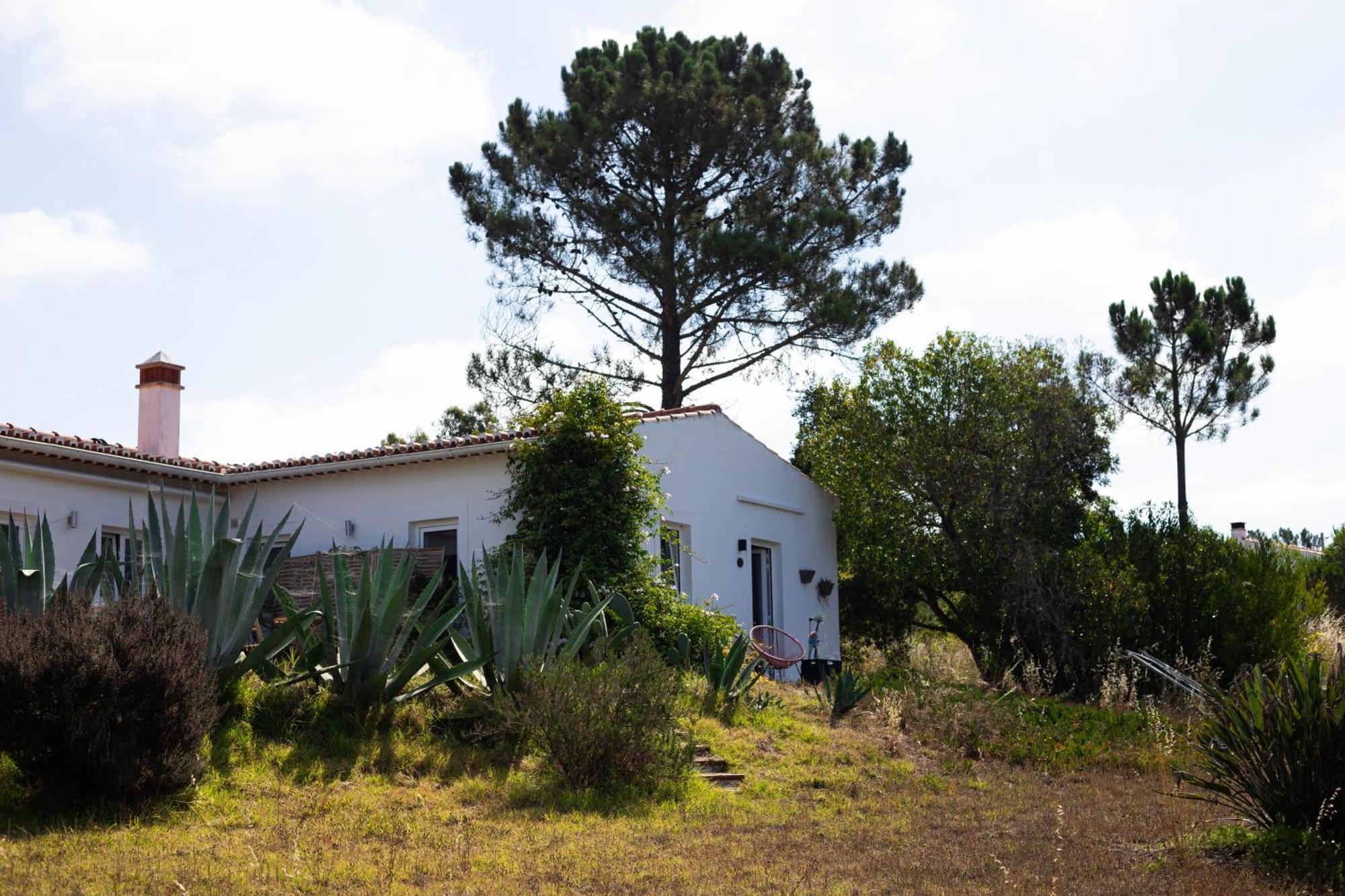 Monte Da Urze Aljezur - Agroturismo Экстерьер фото